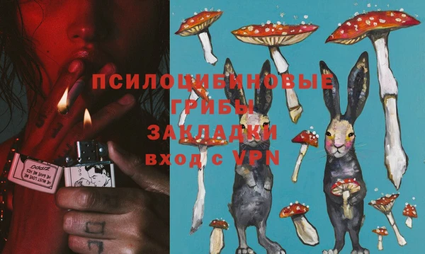 не бодяженный Алзамай