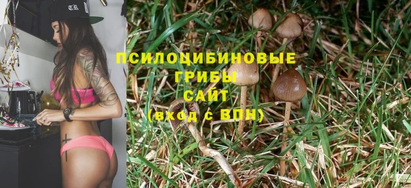 Альфа ПВП Алексин