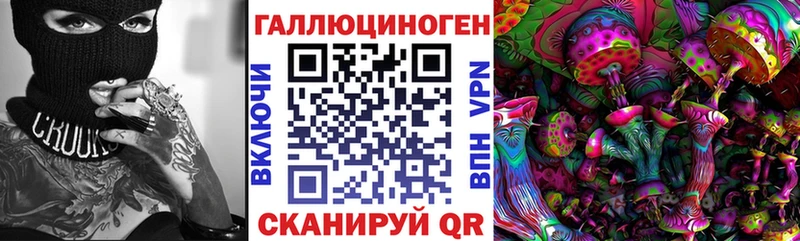Псилоцибиновые грибы Psilocybe  Рыбное 